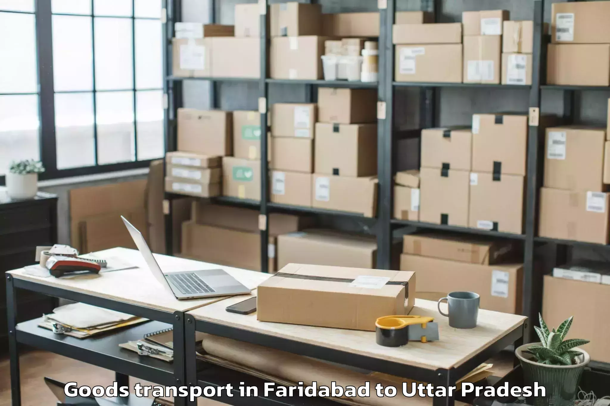 Book Your Faridabad to Js University Shikohabad Goods Transport Today